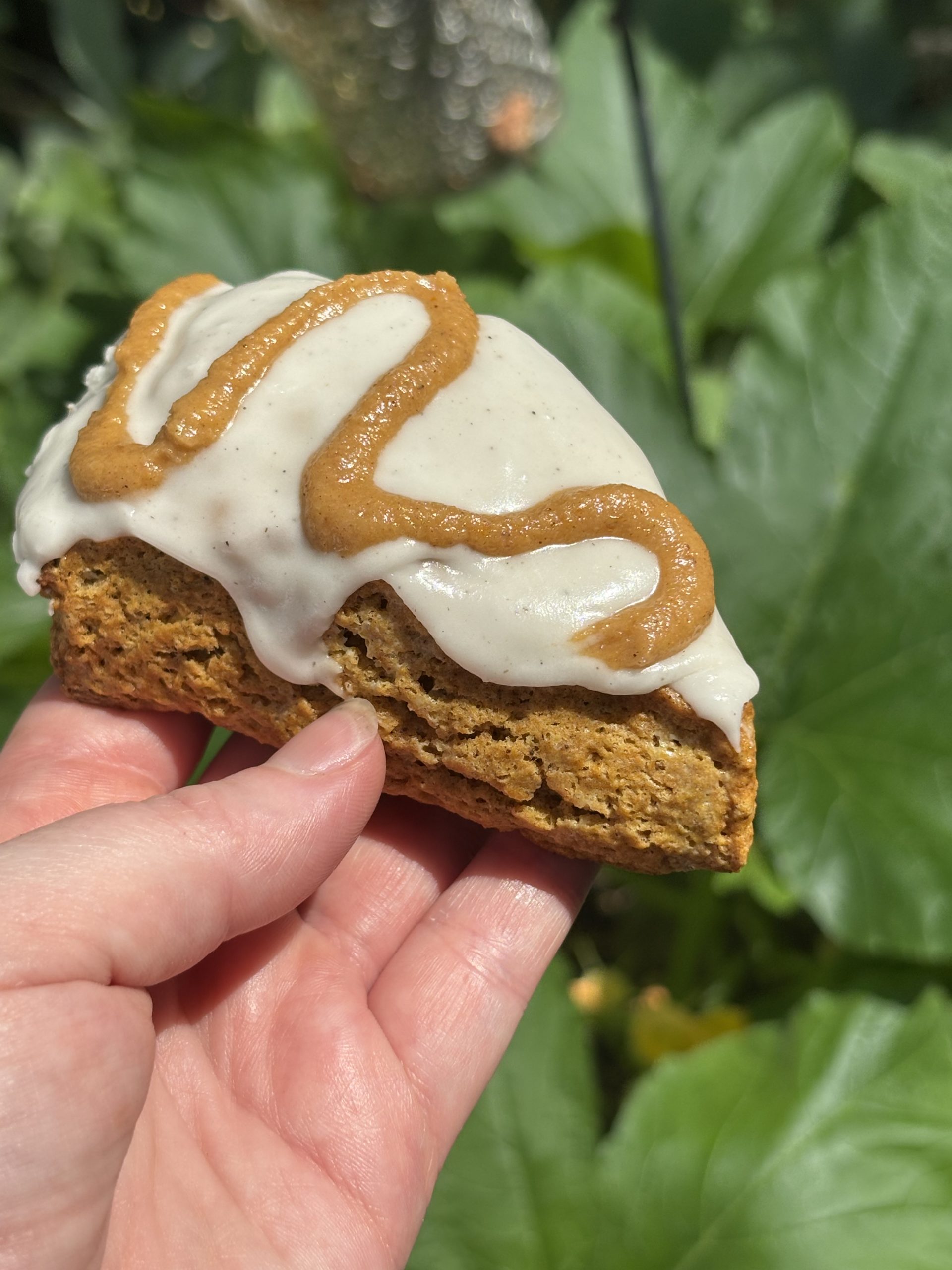 Pumpkin Soul Scone (4-pack)